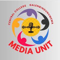 Media Unit